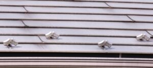 屋根の雪止めの様子