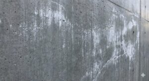 練馬区の外壁に発生したエフロレッセンス（白華現象）で、白い粉状の汚れが表面に現れている様子