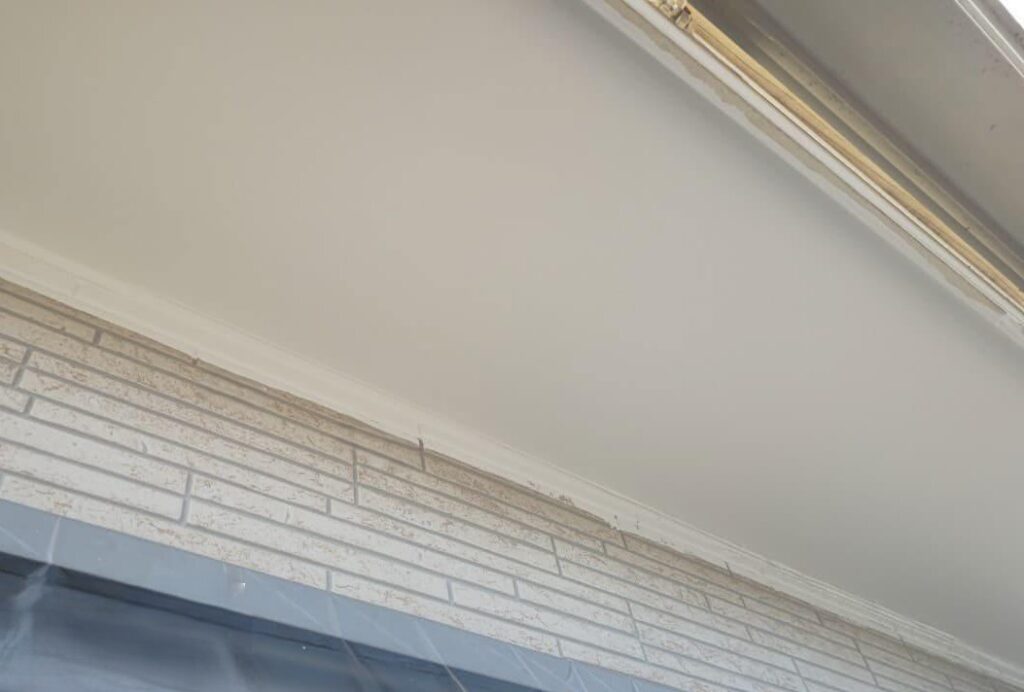 練馬区　施工後の軒天