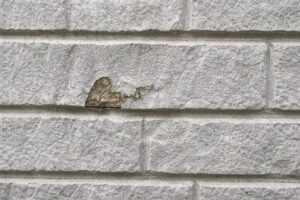 板橋区 外壁塗装 窯業系サイディング 表面剥がれ 下地露出の状態