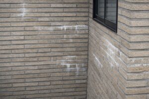 エフロレッセンス（白華現象）が発生した外壁の状態確認